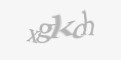 Защитный код